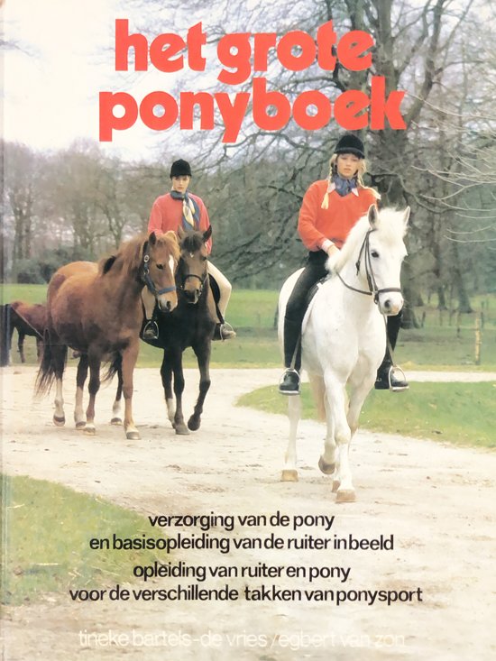 9789062481521-Het-grote-ponyboek
