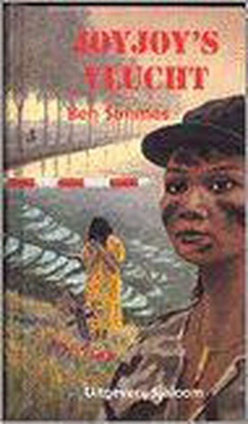 9789062493142-Joyjoys-vlucht