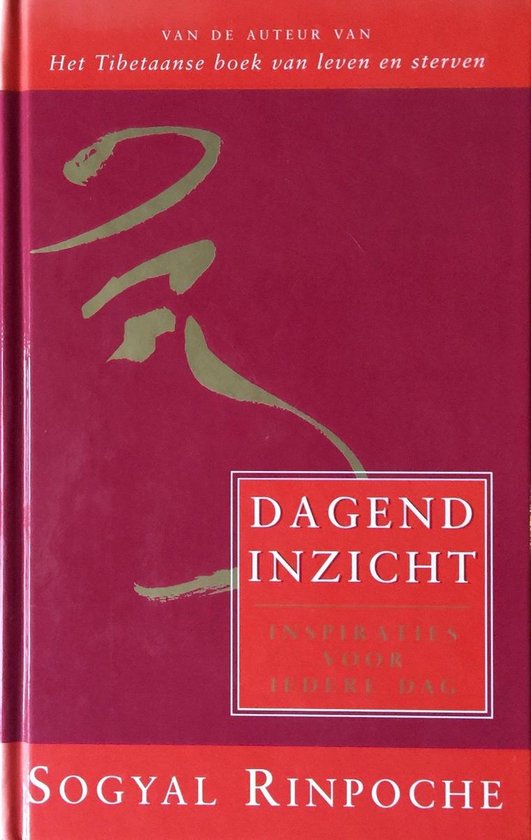 9789063254902 Dagend inzicht