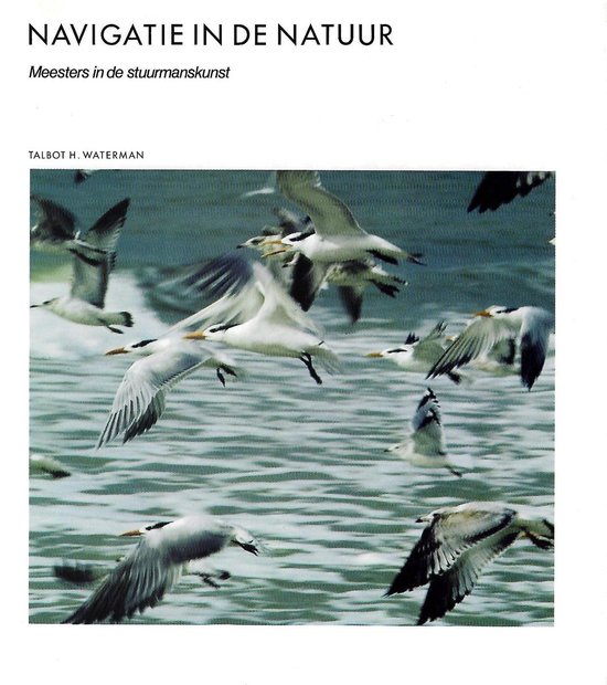9789070157951-Navigatie-in-de-natuur