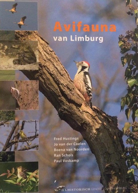 9789074508131-Avifauna-van-Limburg