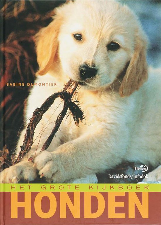 9789076830834-Het-grote-kijkboek-Honden