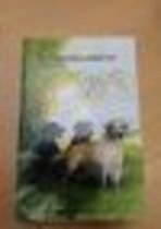 9789080311015-De-Labrador-Retriever