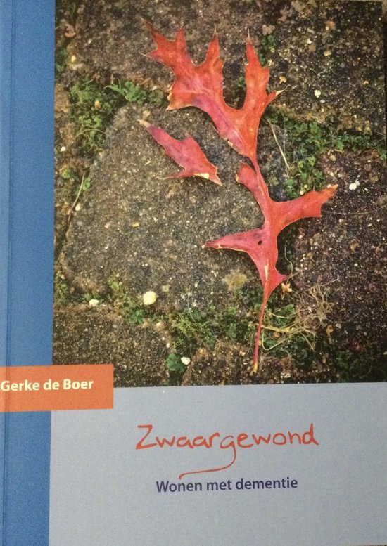 9789081593205-Zwaargewond