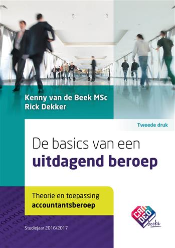 9789082399400 De basics van een uitdagend beroep