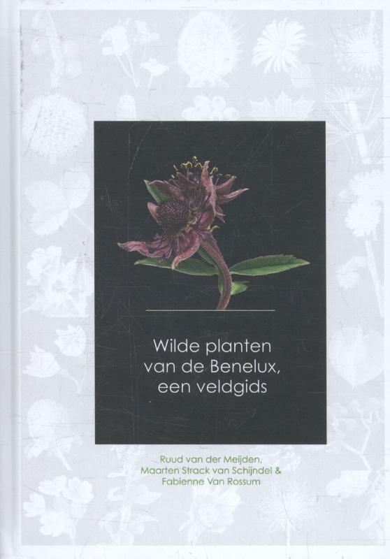 9789082451139-Wilde-planten-van-de-Benelux-een-veldgids