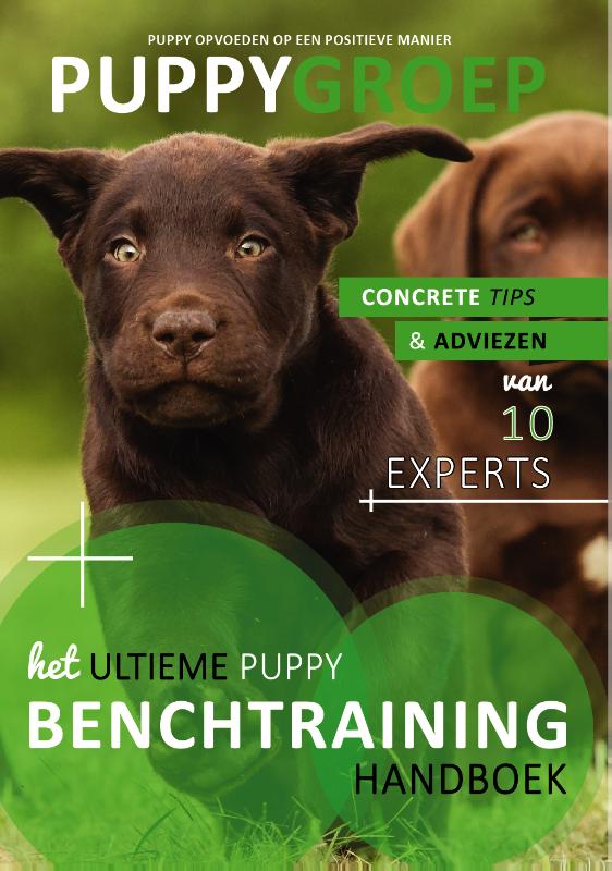 9789082578737-Het-Ultieme-Benchtraining