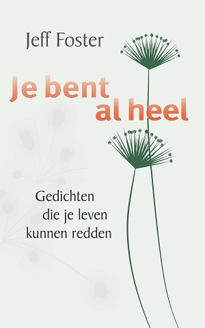 9789088402241-Je-bent-al-heel
