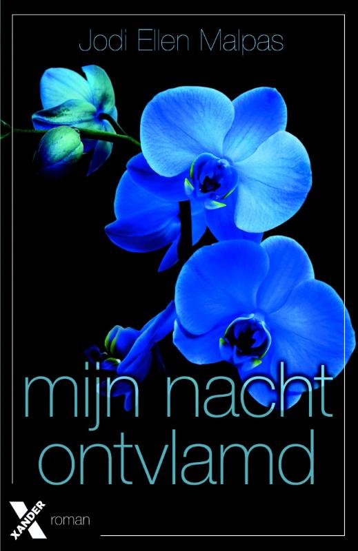 9789401605380-Ontvlamd
