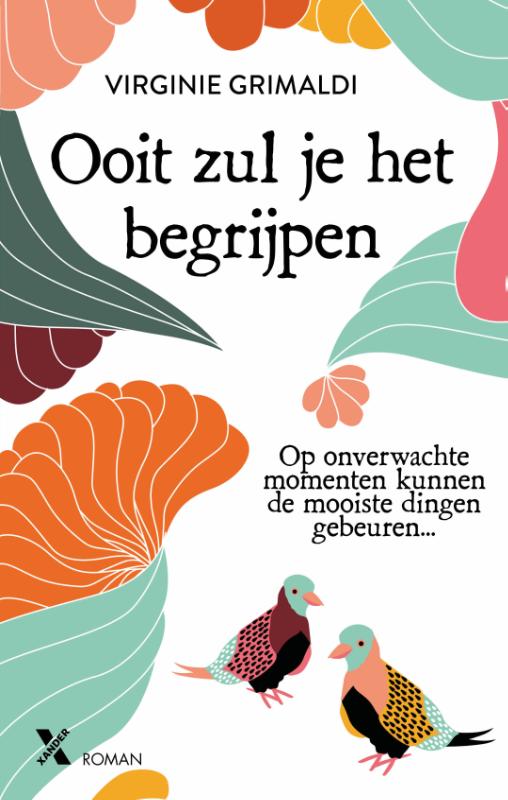 9789401610803 Ooit zul je het begrijpen