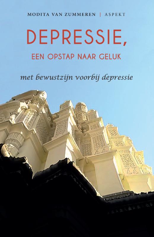 9789463384803-Depressie-een-opstap-naar-geluk