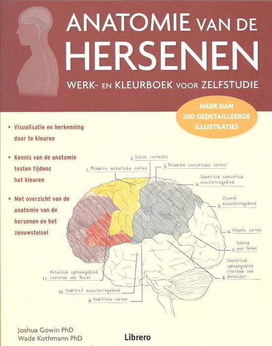 9789463591072-anatomie-van-de-hersenen