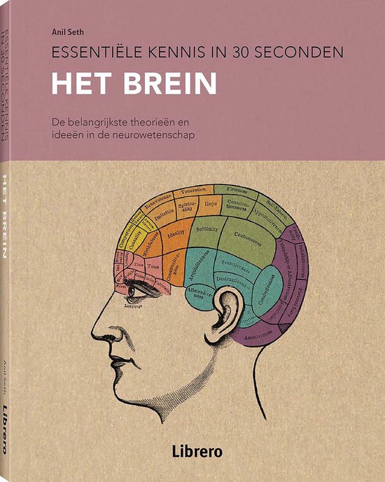 9789463596046-Het-brein