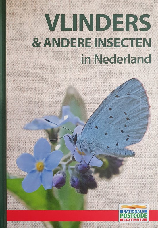 9789464042153-Vlinders-amp-andere-insecten-in-Nederland