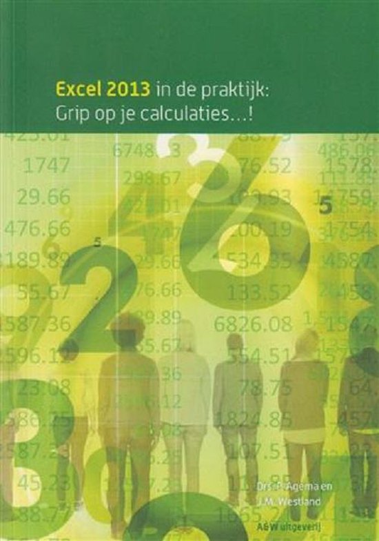 Excel 2013, grip op je calculaties