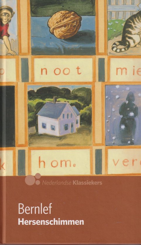 9789491041112 Hersenschimmen