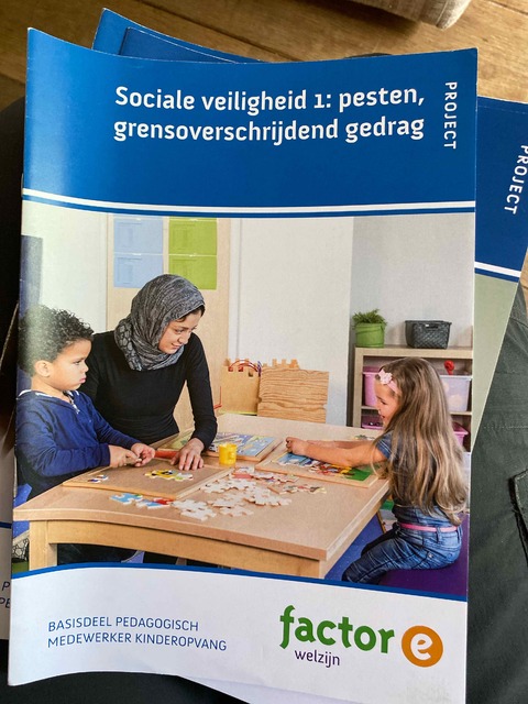 9789037234084-Sociale-veiligheid-pesten-mishandeling-grensoverschrijdend-gedrag