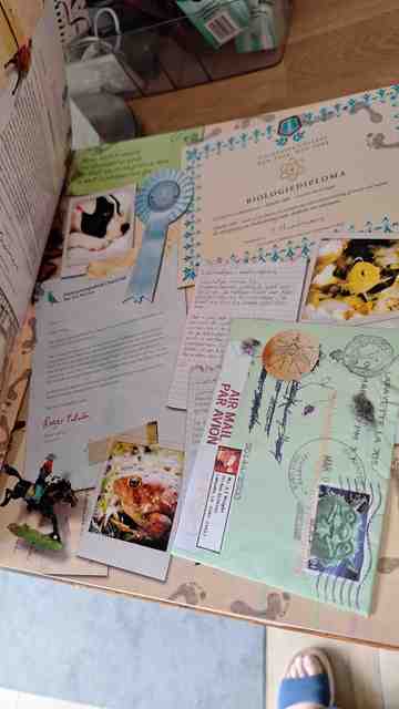 9789047504535-Spiderwick-Chronicles-Een-reis-door-de-toverachtige-wereld-met-Duimeldop-als-gids