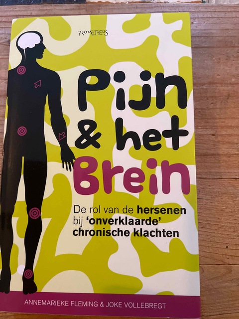 9789035144279-Pijn-het-brein