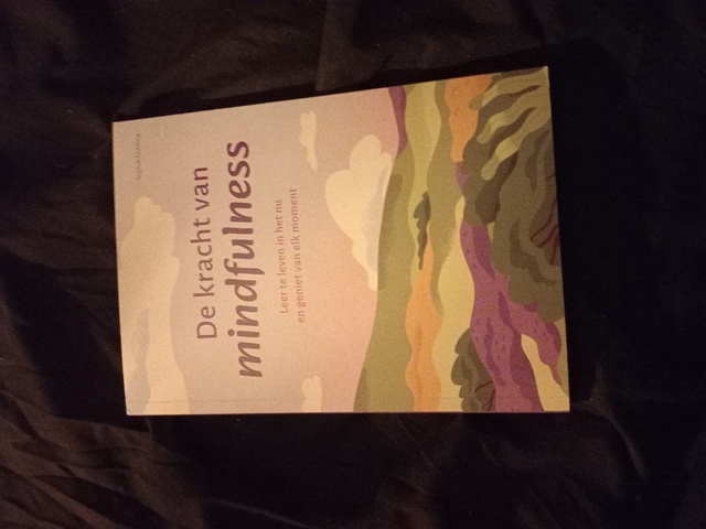 9789043833127-de-kracht-van-mindfullness