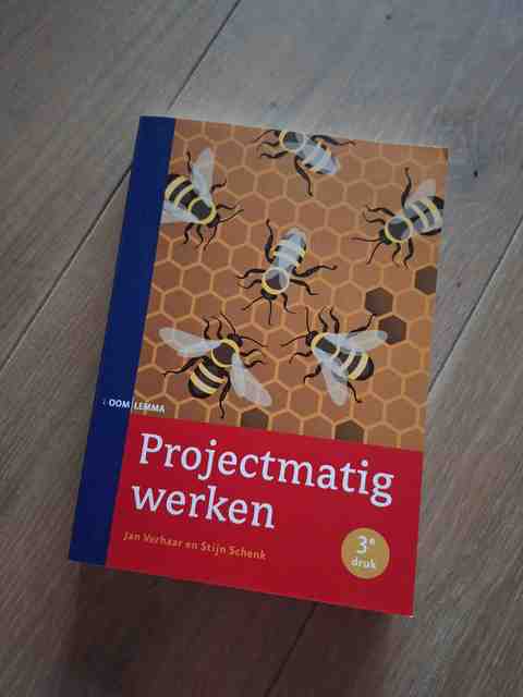 9789462364028-Projectmatig-werken