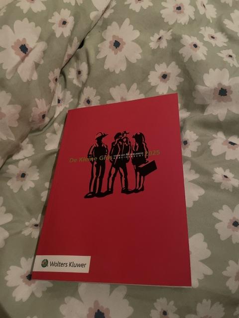9789013178500-De-Kleine-Gids-voor-het-Nederlandse-Arbeidsrecht-2025