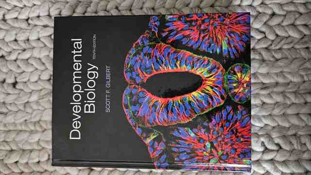 9780878939787-Developmental-Biology