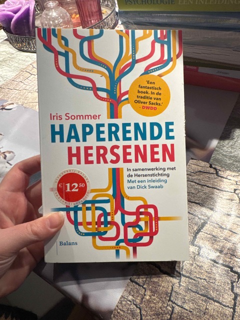 9789460038327-Haperende-hersenen