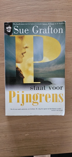9789022529966-P-staat-voor-Pijngrens
