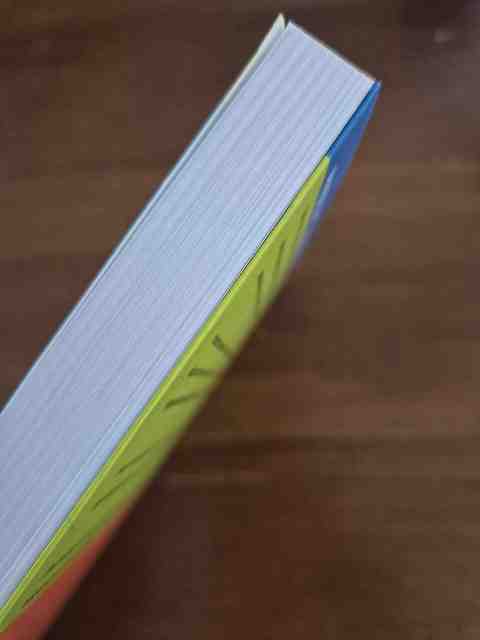 9789031361793-Bewegingsleer-2-De-onderste-extremiteit