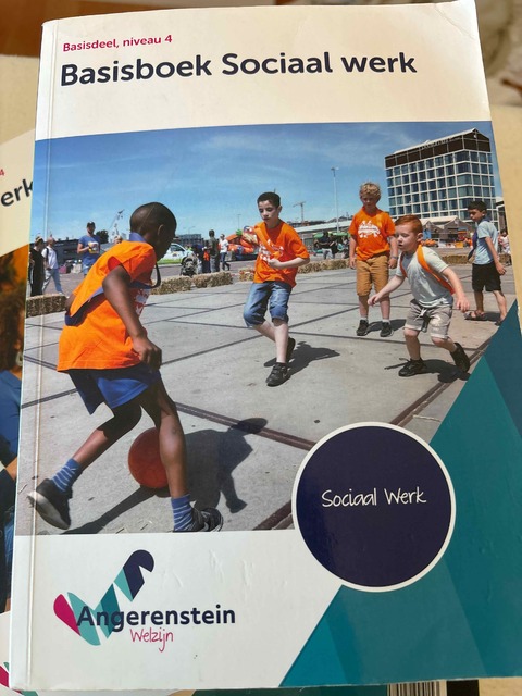 9789037244045-Basisboek-sociaal-werk