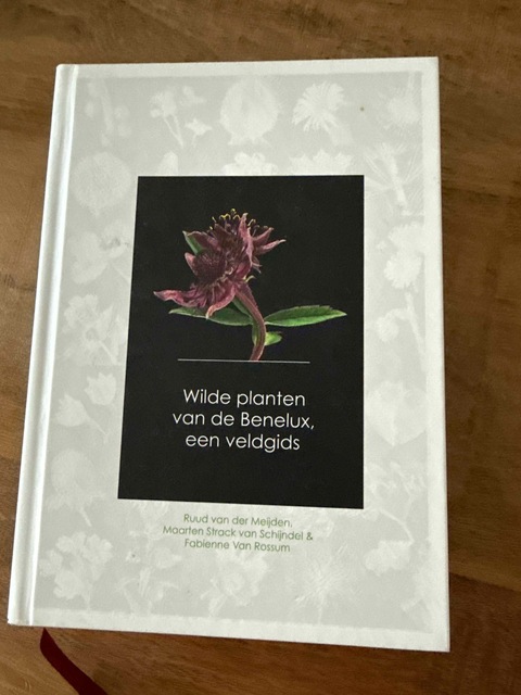 9789082451139-Wilde-planten-van-de-Benelux-een-veldgids