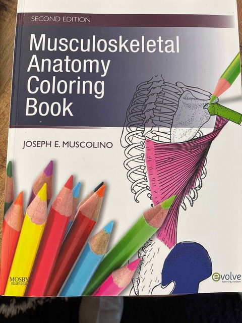 9780323057219-Musculoskeletal-Anatomy-Coloring-Book