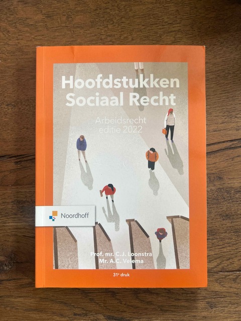 9789001299071-Hoofdstukken-sociaal-recht-2022