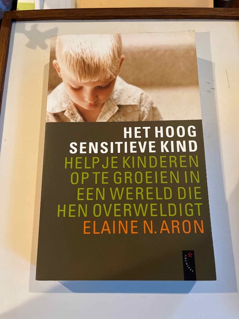 9789063051181-Het-Hoog-Sensitieve-Kind