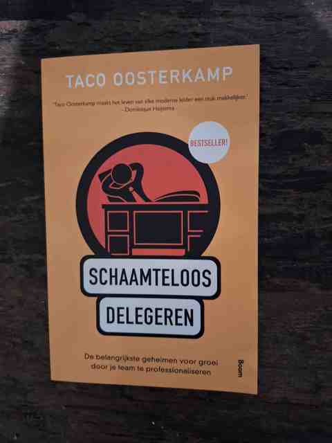 9789462201682-Schaamteloos-delegeren