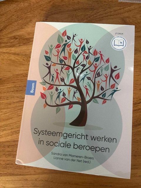 9789024437900-Systeemgericht-werken-in-sociale-beroepen