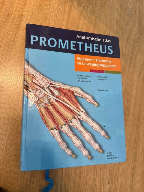 9789031379347-Algemene-anatomie-en-bewegingsapparaat