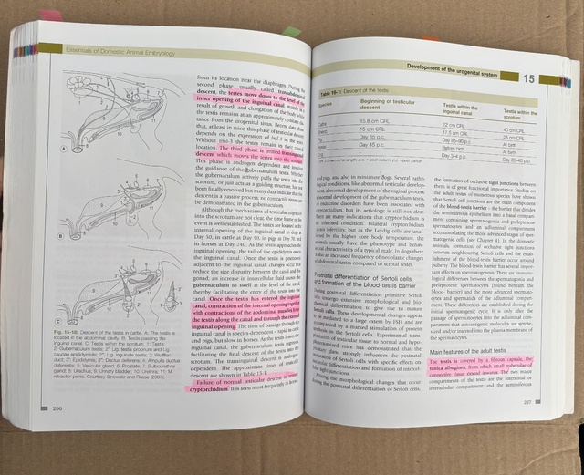 9780702028991-Essentials-of-Domestic-Animal-Embryology