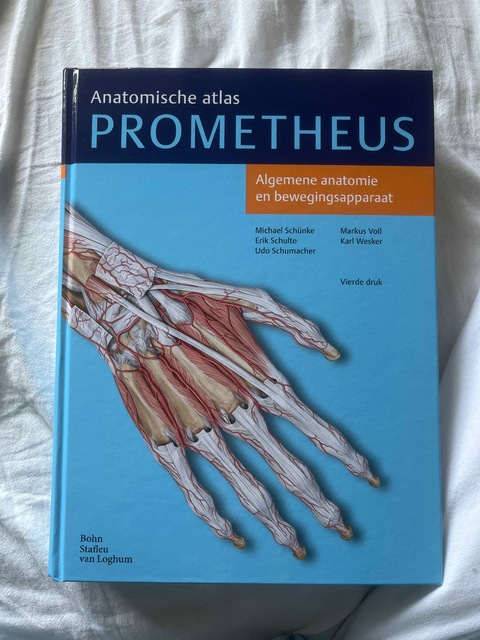 9789036815383-Algemene-anatomie-en-bewegingsapparaat