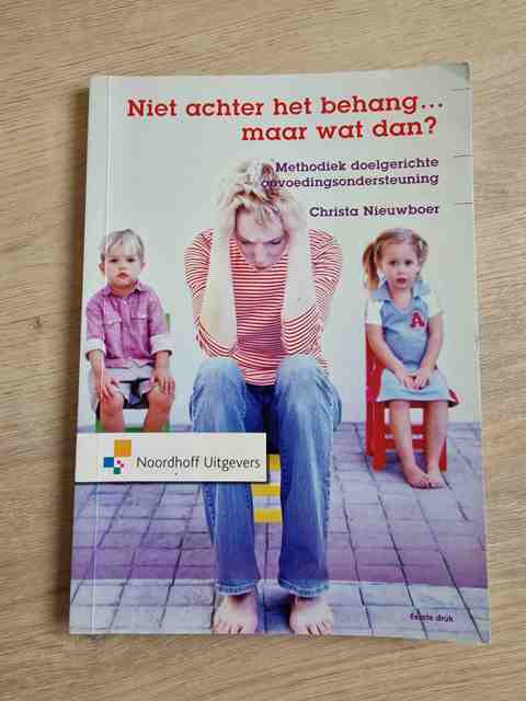 9789001785079-Niet-achter-het-behang...-maar-wat-dan