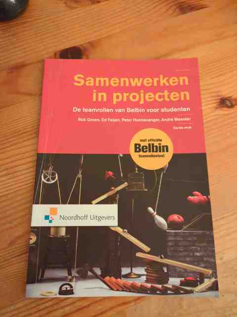 9789001850180-Samenwerken-in-projecten