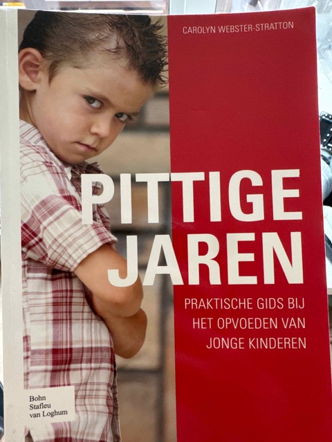 9789031348909-Pittige-jaren