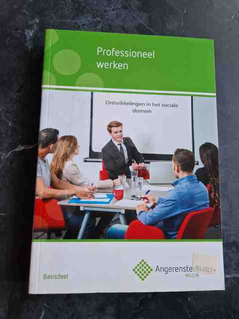 9789037223637-Professioneel-werken