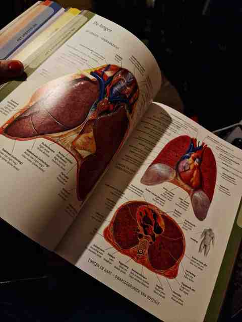 9789089986184-Anatomie-van-het-menselijk-lichaam