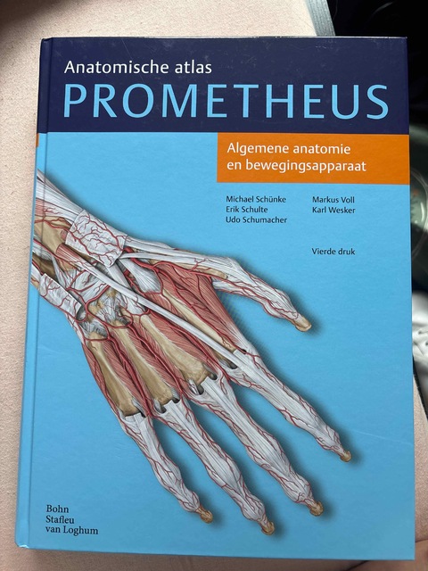 9789036815383-Algemene-anatomie-en-bewegingsapparaat