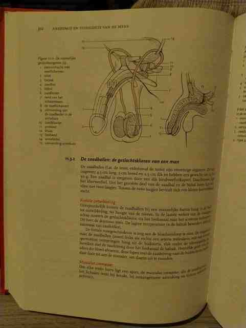 9789035234772-Anatomie-en-fysiologie-van-de-mens-kwalificatieniveau-4