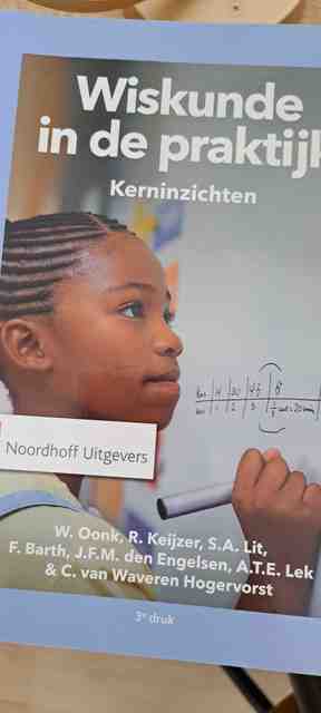 9789001994440-Wiskunde-in-de-praktijk--Kerninzichten