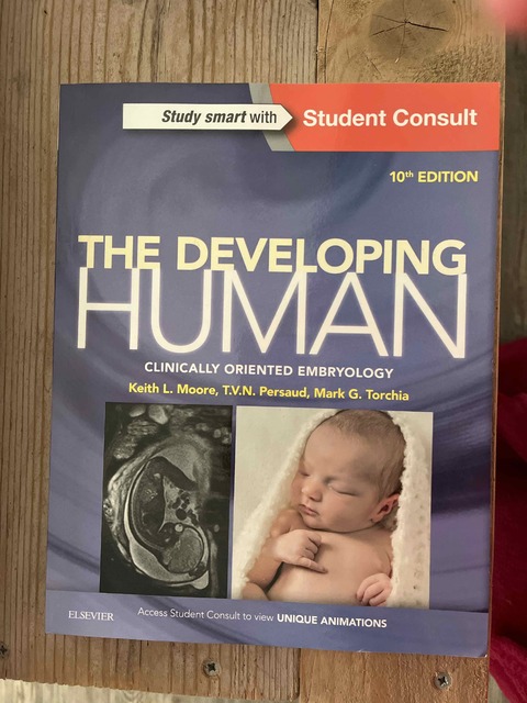 9780323313384-The-Developing-Human