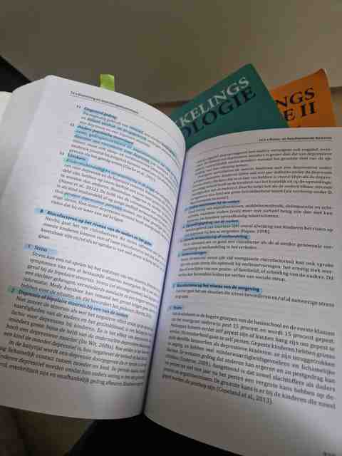 9789046904947-Ontwikkelingspsychopathologie-bij-kinderen-en-jeugdigen